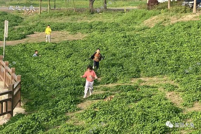乐鱼全站网页版登录入口,春景图：丰山脚下绿草坪孩童嬉戏放飞
